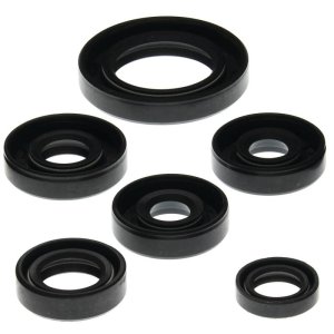 Can-Am DS650 Engine Oil Seal Kit - Vertex Pistons - `00-`07 Can-Am DS650 Engine Oil Seal Kit - Vertex Pistons - `00-`07